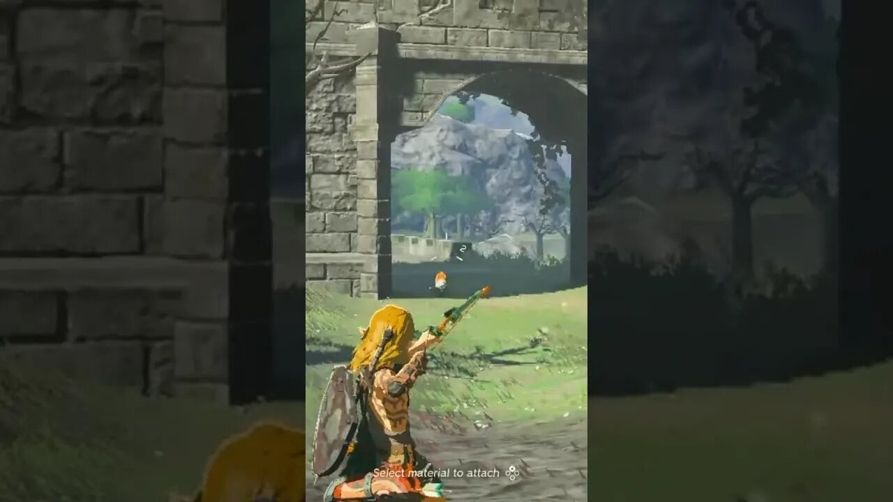 EPIC ARROW SHOT ON FOX BY LINK! 🦊 🎯 #shorts #nintendoswitch #zeldatearsofthekingdom #link #fox