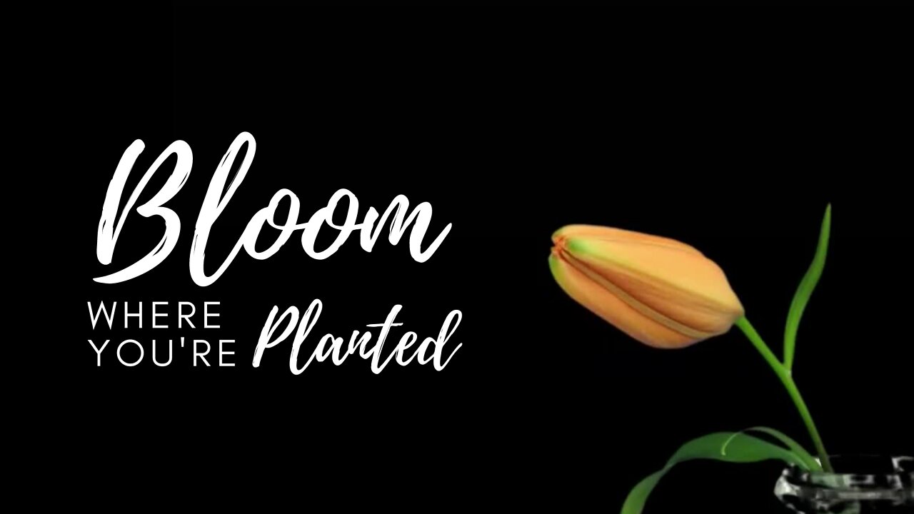 Bloom Where You're Planted