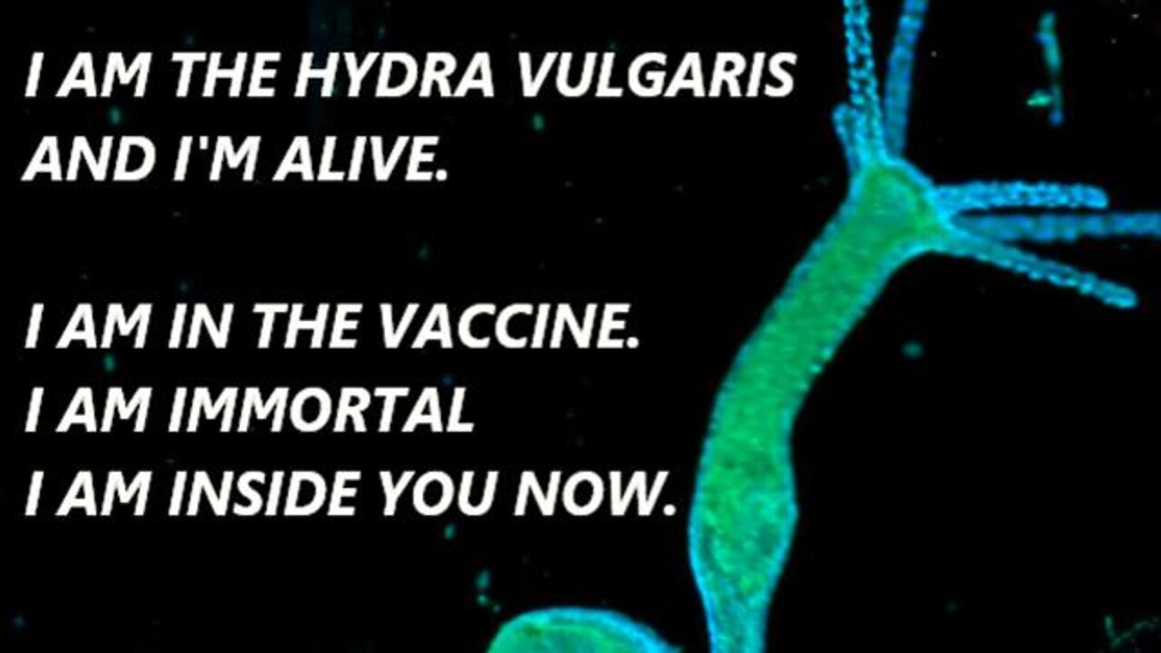 There is a living creature inside the vaccine. It is immortal. The "Hydra Vulgaris" See description.