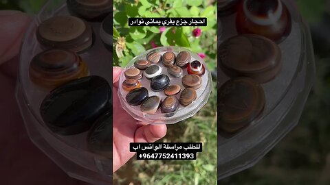 جزع بقري يماني