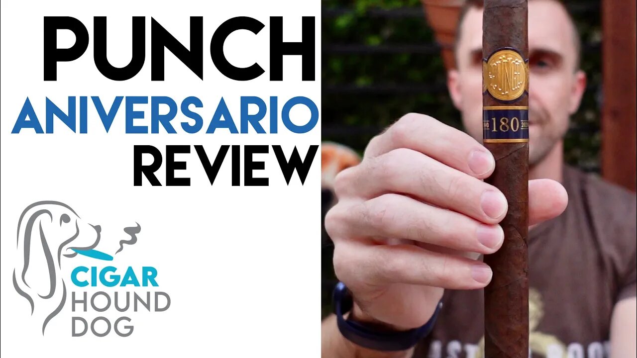 Punch Aniversario Cigar Review