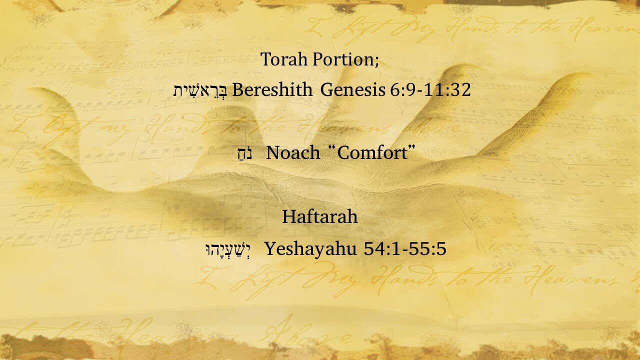 Torah Portion Noach 101621