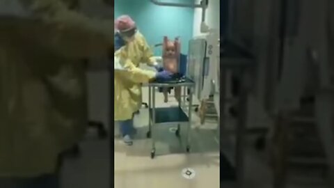 baby X-ray #shorts #shortsvideo #voiceofkanij