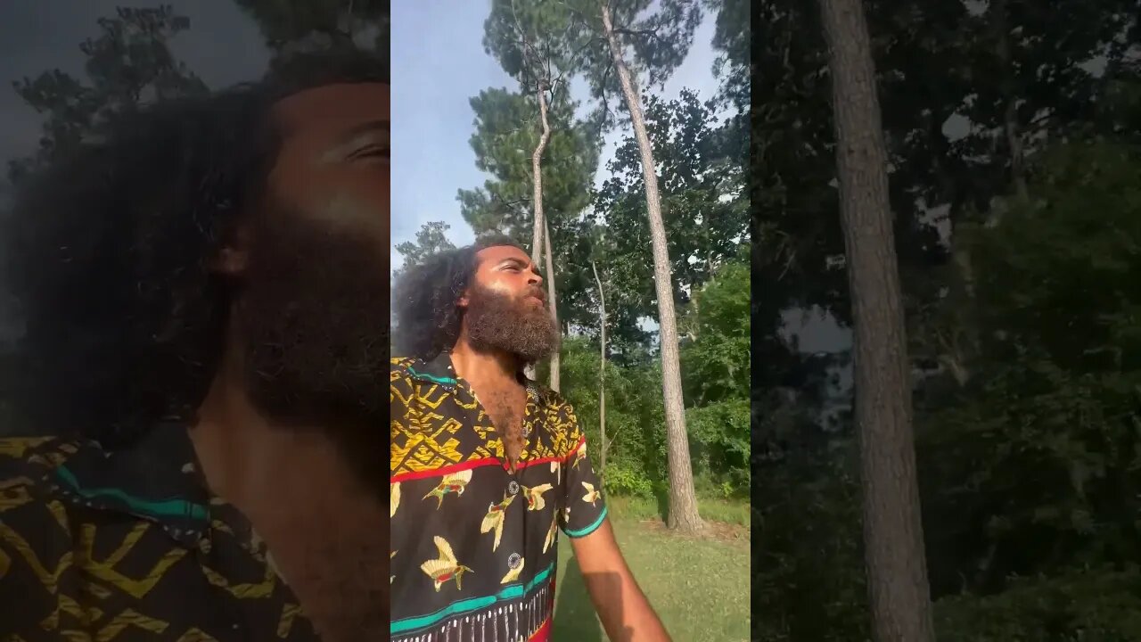 A beautiful day for a walk with Rock Mercury