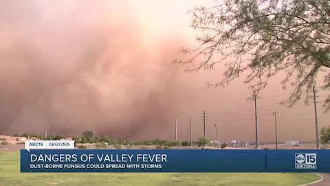 Storms spreading fungus that could cause Valley Fever