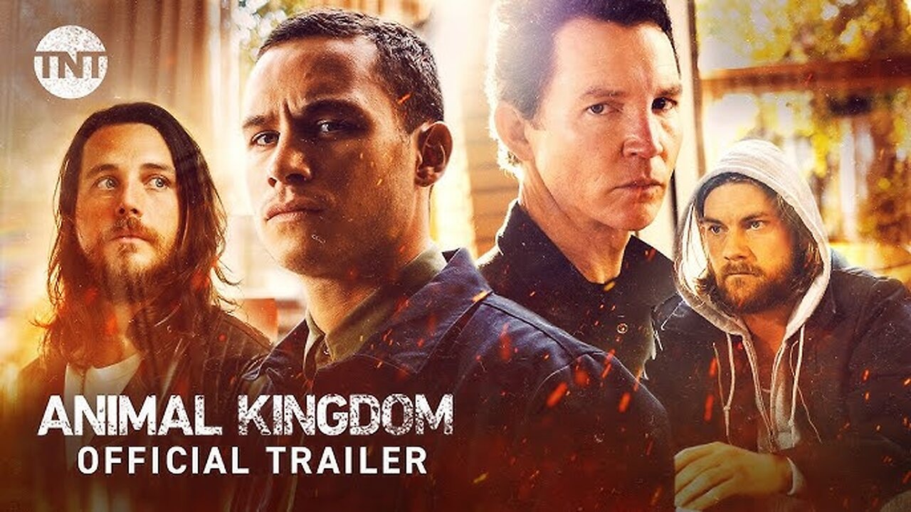 Animal Kingdom official trailer