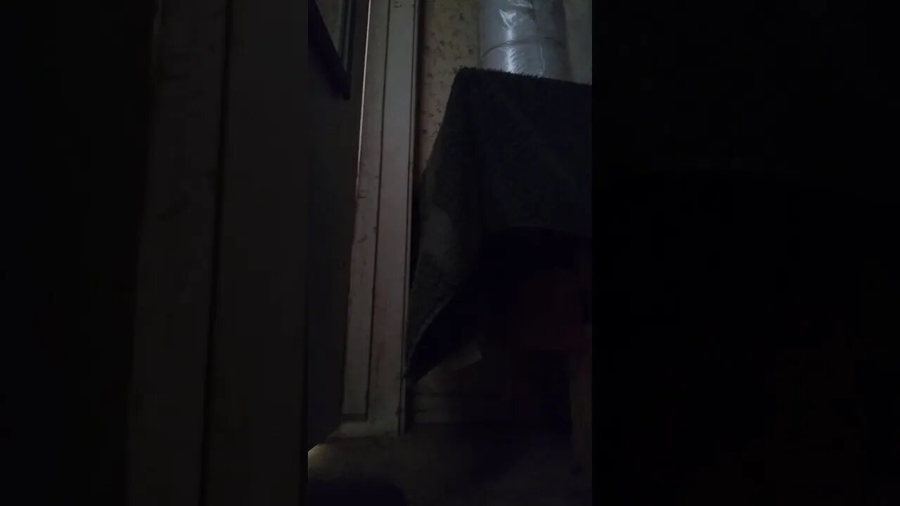 Is This Normal? pt8b (read the description)