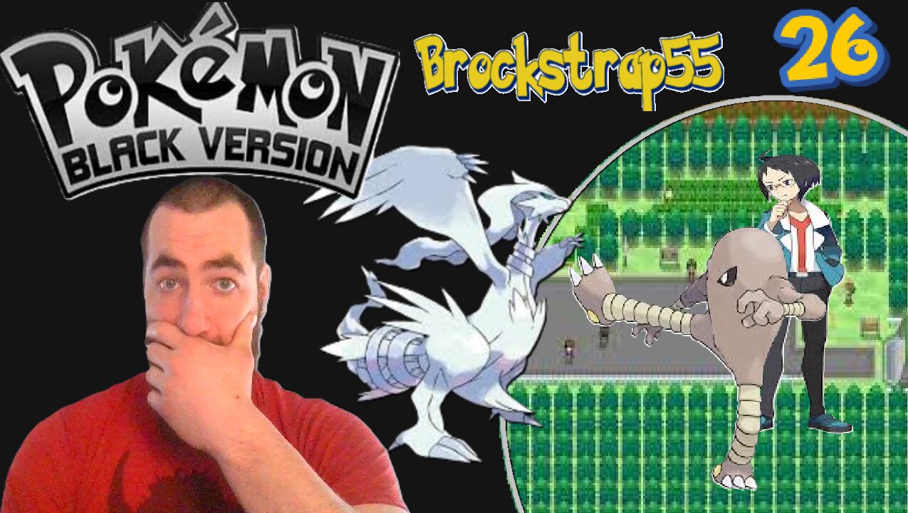 Pokemon Black Nulzocke Ep 26 : Kicking Conundrum