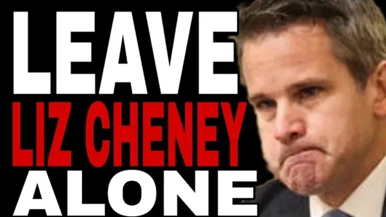 CRYING ADAM KINZINGER HILARIOUSLY MELTDOWN OVER LIZ CHENEY