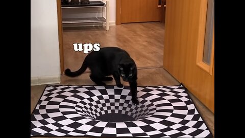 Will Dogs and Cats Believe Optical Illusion 😲😲