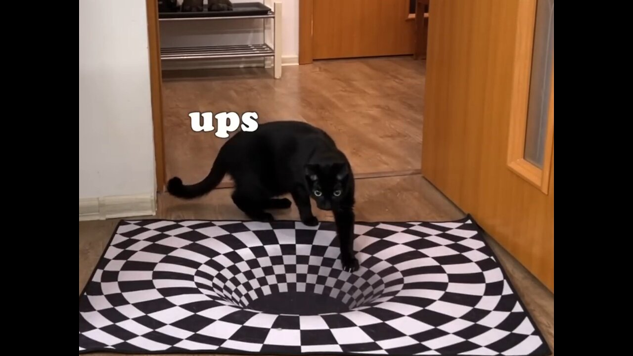 Will Dogs and Cats Believe Optical Illusion 😲😲
