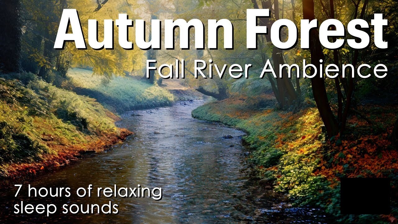 Autumn Forest | Fall River Ambience | Nature Sounds For Sleep | River Sounds | For 7 Hours