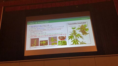 김문년 파미노젠 스마트팜 연구소장