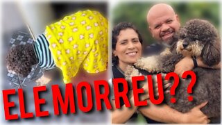 A MORTE DO ENGENHEIRO CASAL PERDIDINHO-CACHORRO FAMOSO NO TIKTOK ENGENHEIRO MORREU ? VIDEO COMPLETO