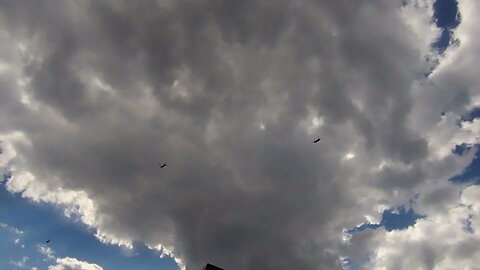 Chinook Helicopters 3