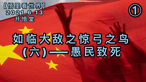 KWT1929(1)愚民致死——如临大敌之惊弓之鸟(六)20210613-8【悟里看世界】