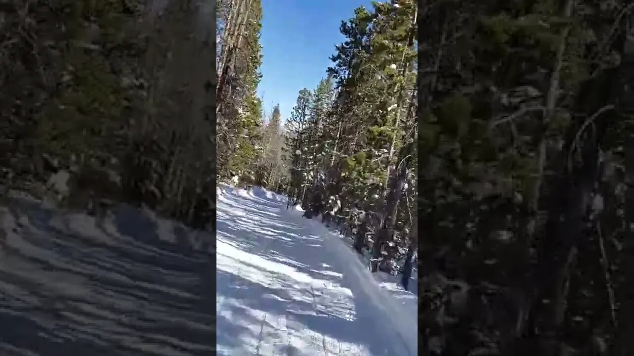 Snow mobiling in Colorado