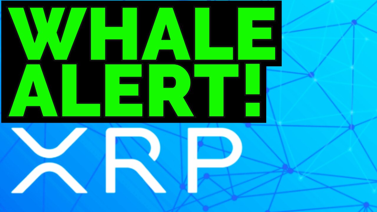 XRP Ripple this is when I BUY, WHALE VOLUME All Time High