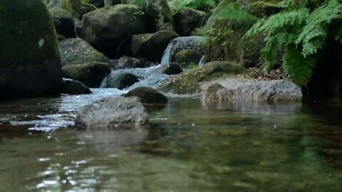 Música Para Limpeza Emocional - Atrair Energias Positivas - Cura Física e Emocional