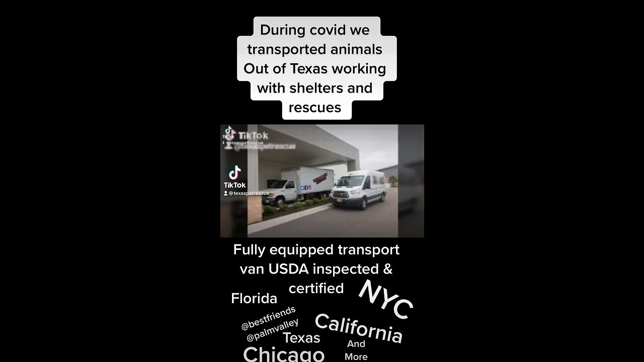 Transport pets across the USA