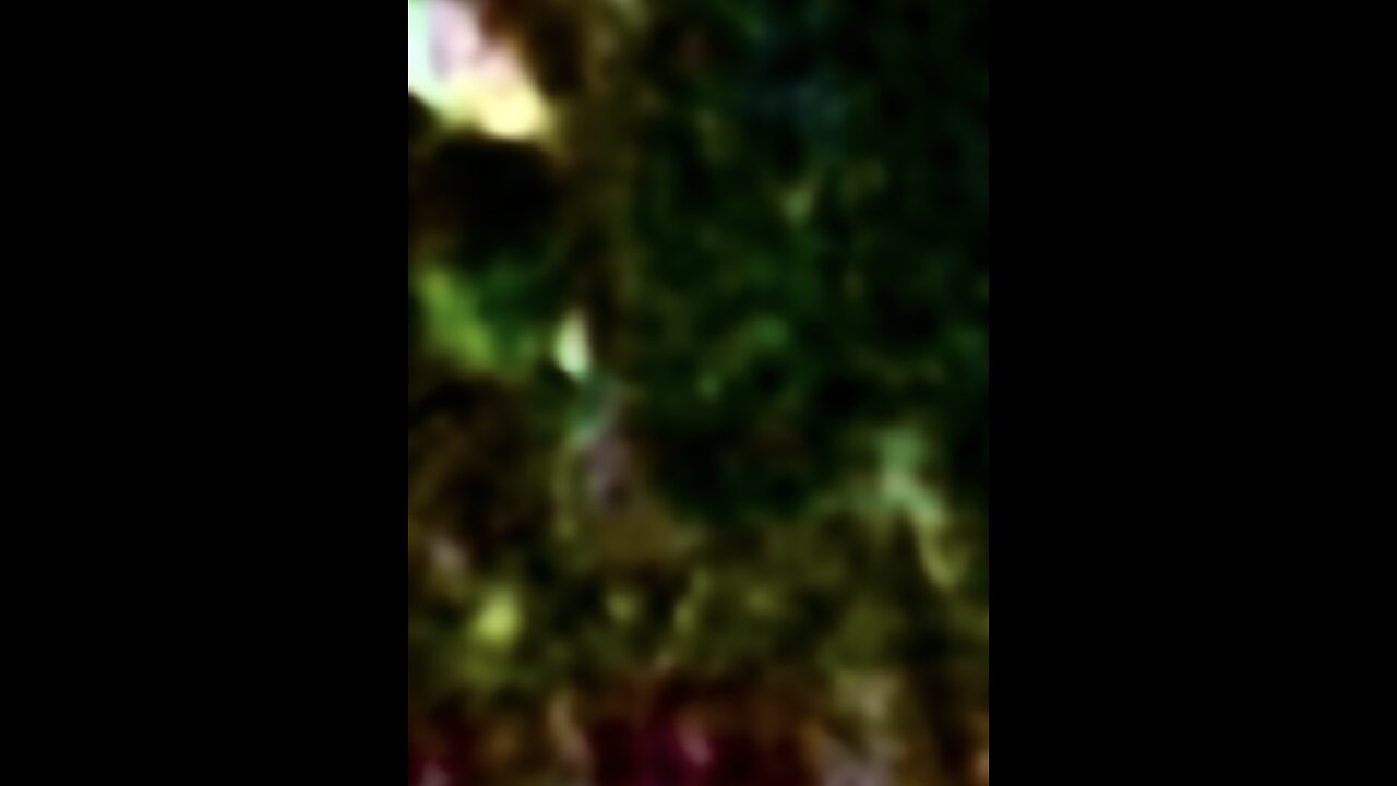 Categorizing Entities. First Up…Reptilians. Astral Photos of Reptilian and Reptilian-Like Entities.