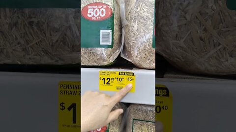 stray bedding bulk buys