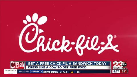 Dress like a cow and get a free Chick-Fil-A sandwich