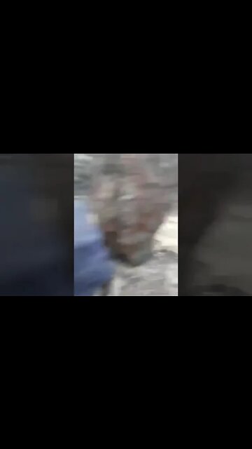 Russian & Allied Forces Captured Ukrainian Soldiers