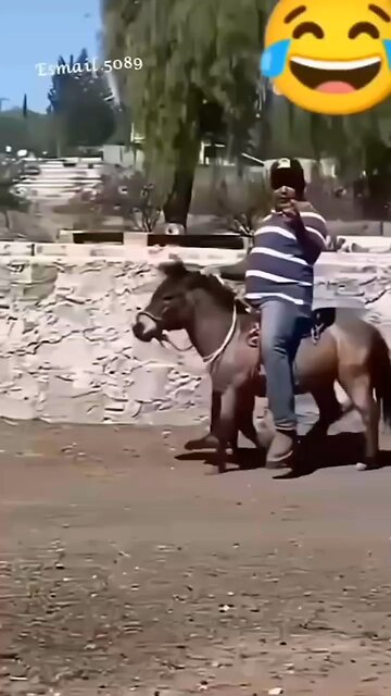 This is a must watch🐈🤣