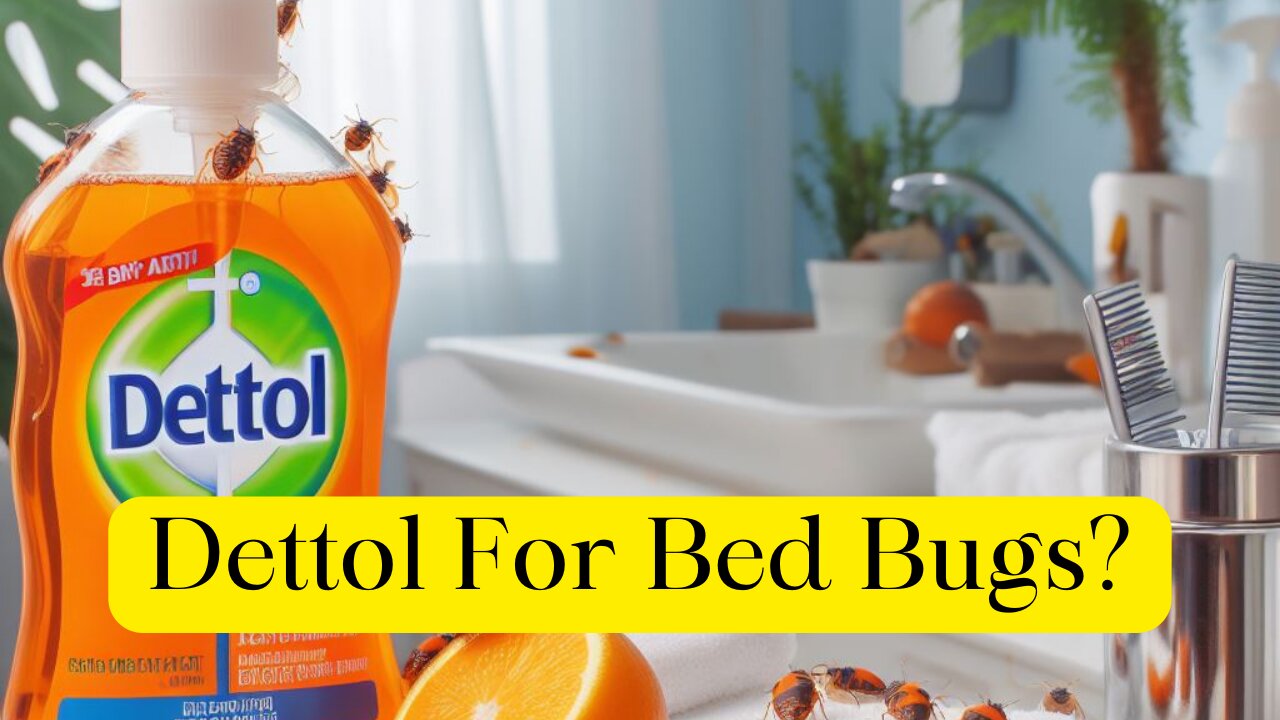 How to use Dettol for bed bugs