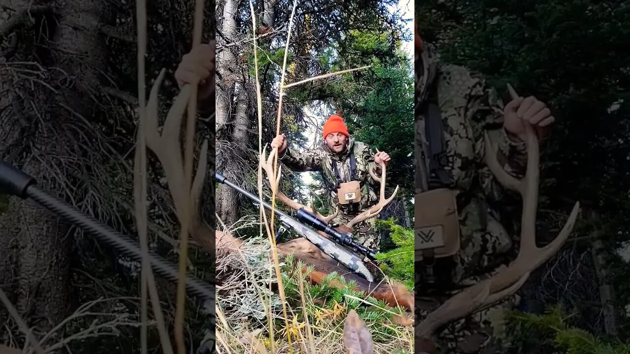 Wyoming Elk Hunting