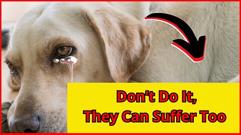 AVOID THESE EMOTIONAL ATROCITIES WITH YOUR DOG