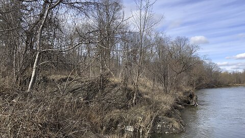 Humber River flow