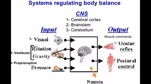 Vestibular System (Equilibrium) Doesn’t Work In Weightlessness! You Would Become Very Disoriented. Astro-Nots Are In The NBL, Neutral Buoyancy Lab, Water (A POOL) Unless There Breaching The Firmament Into The Waters Above!