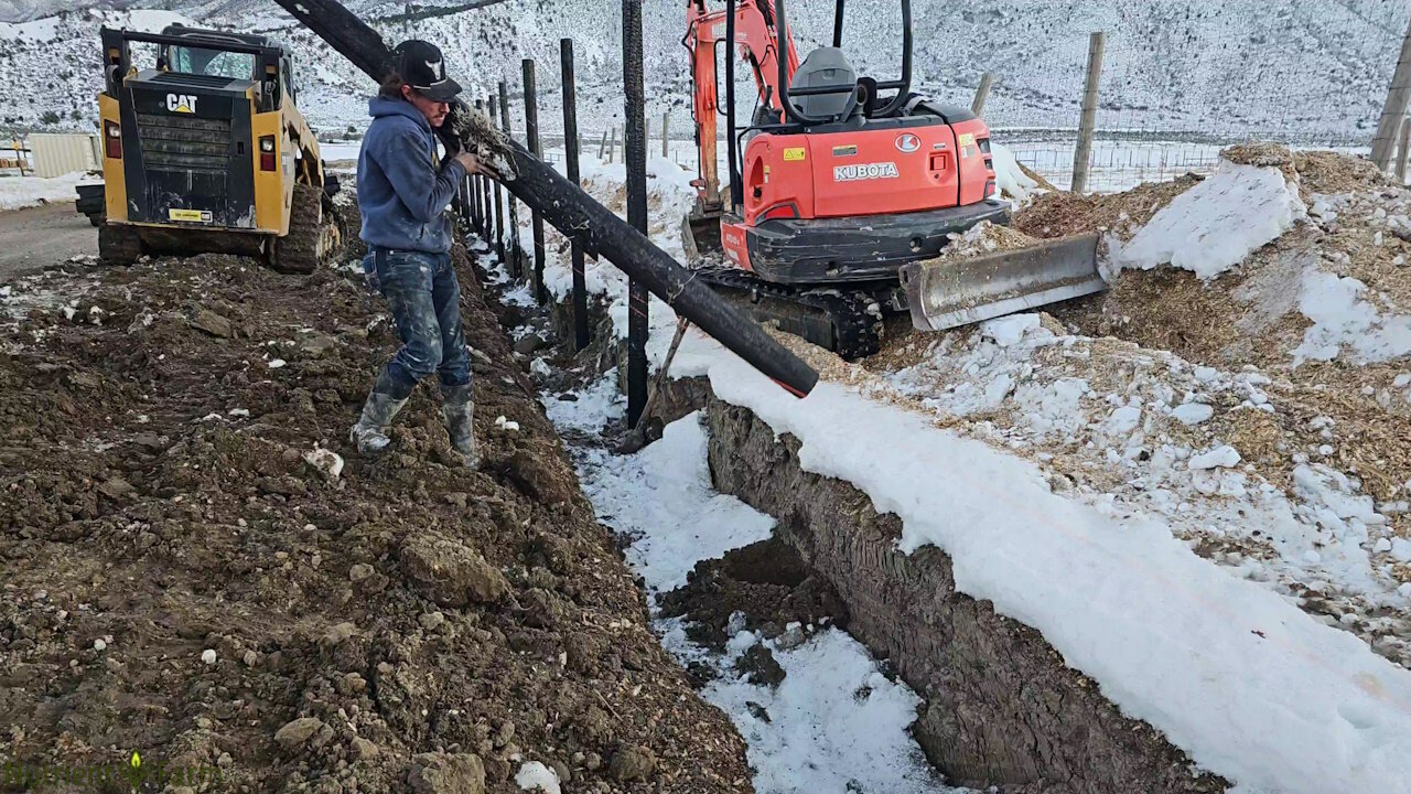 Nutrient Farm Scenery #45 - Shou Sugi Ban (Japanese charred wood) Fence Installation