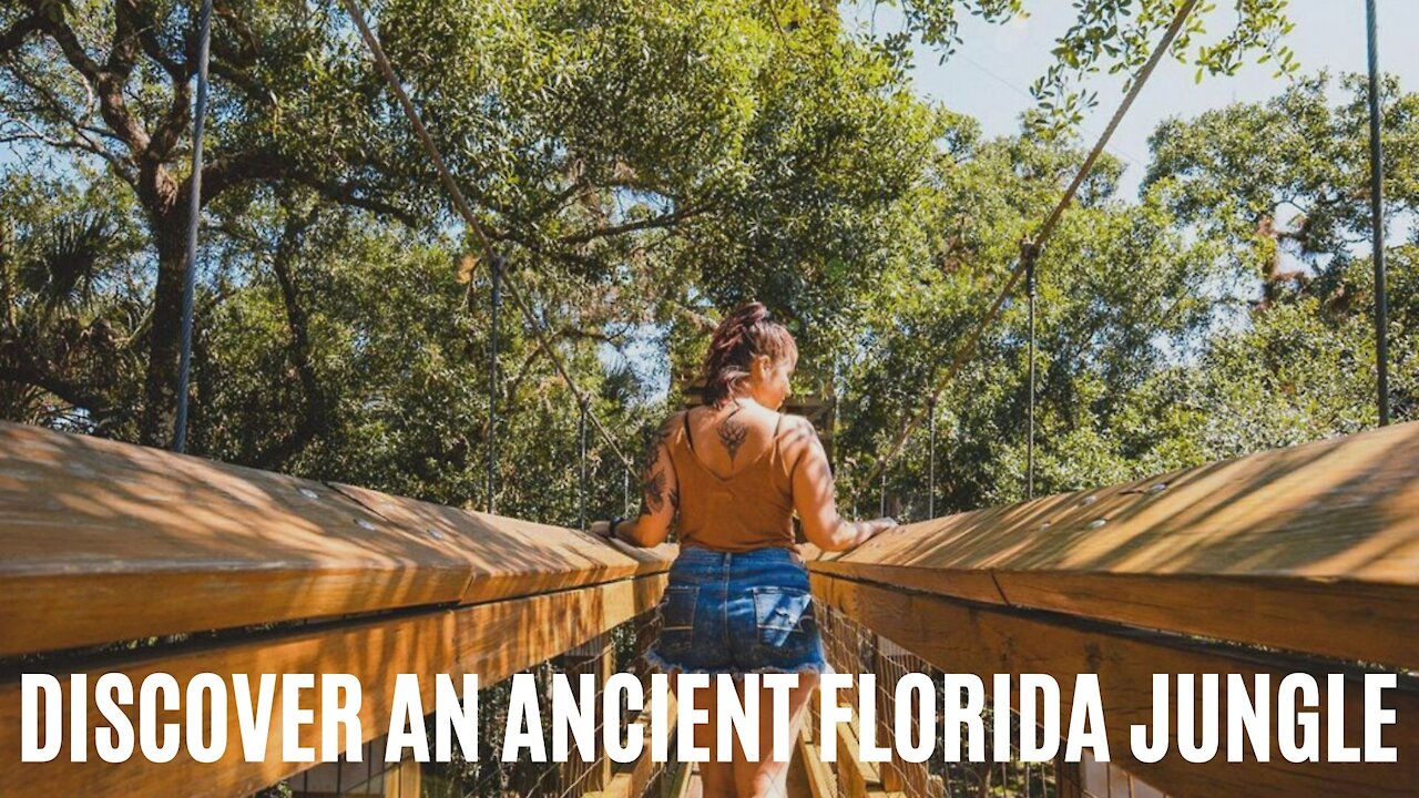 This Easy Hike Near Tampa Is Like Exploring An Ancient Jungle Realm