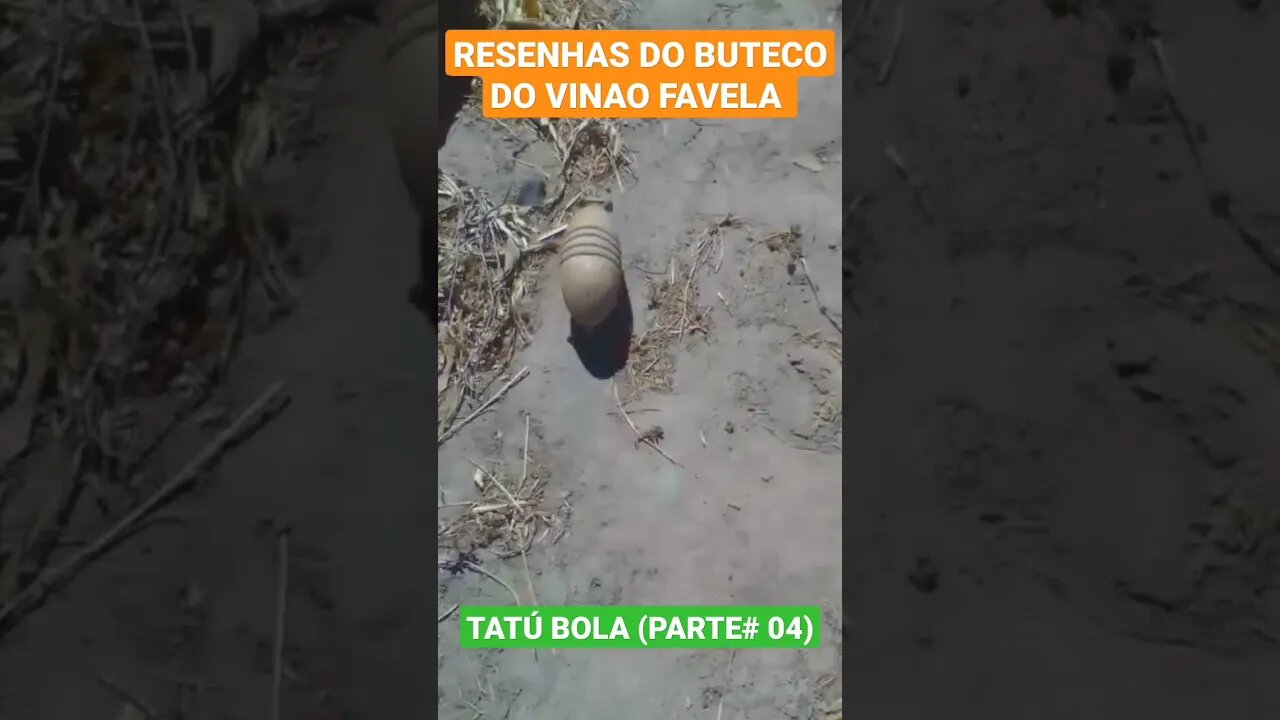 RESENHAS DO BUTECO DO VINAO FAVELA -TATÚ BOLA (PARTE #04)