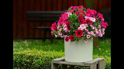 Container Gardening