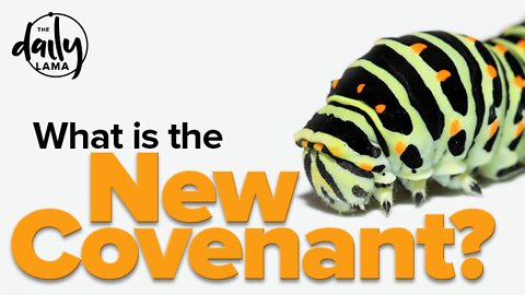 What Is the New Covenant?