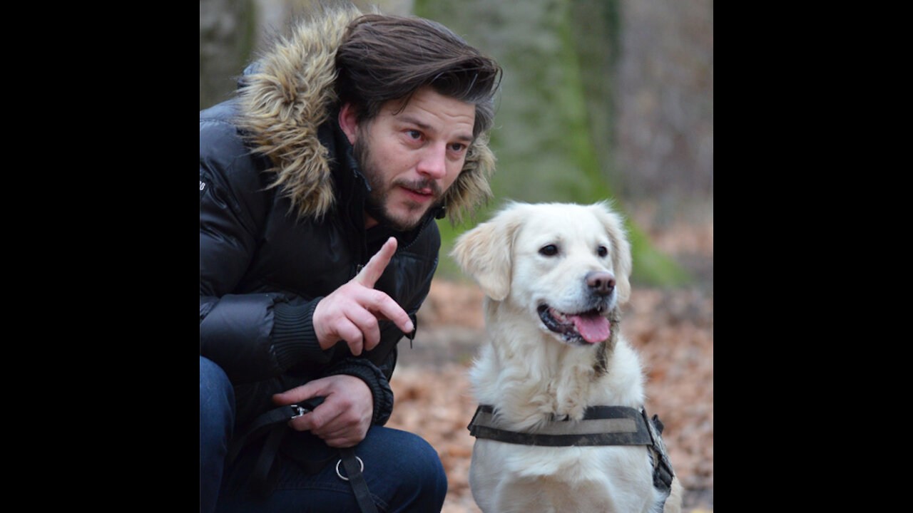 How To Make Dog Become Aggressive Instantly With Few Simple Tricks