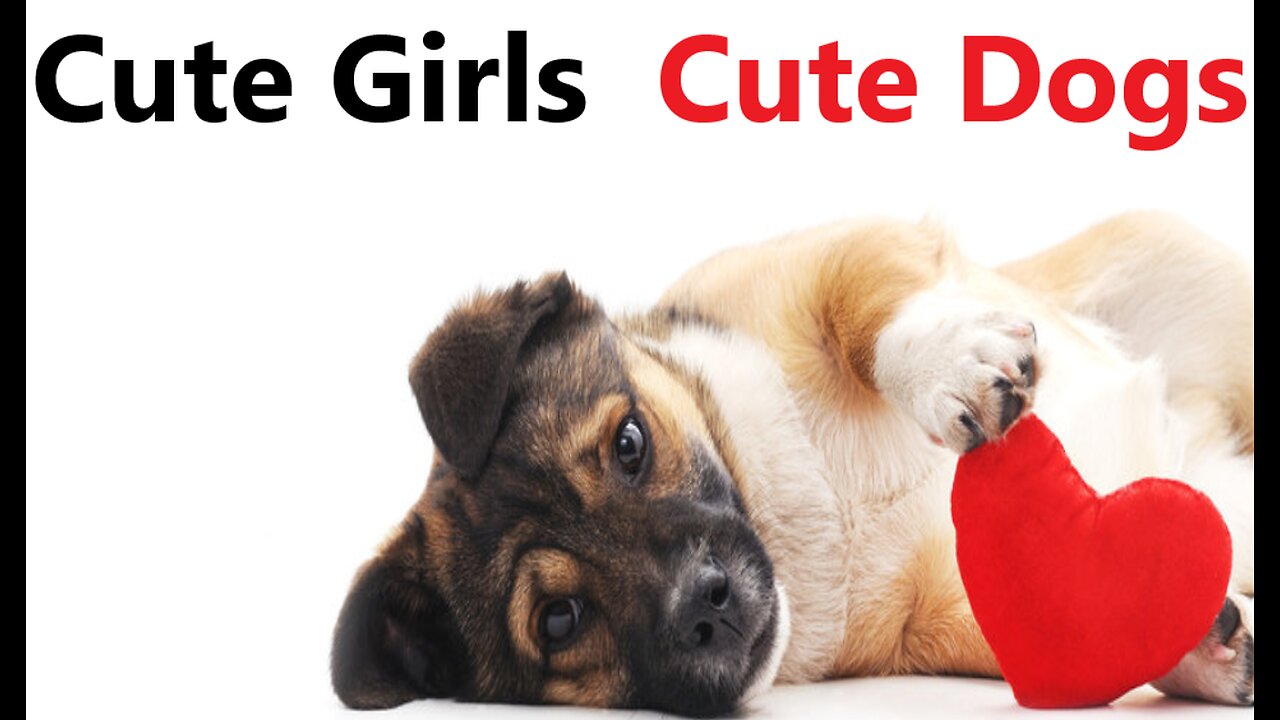 The girl is a famous dog lover girl love dog girl love the most famous dog The love dog girl love