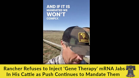 Rancher Refuses to Inject 'Gene Therapy' mRNA Jabs In His Cattle as Push Continues to Mandate Them