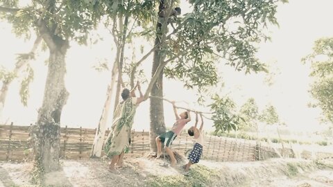 villagers life ( आँप चोरले दरो भेट्यो)#बाख्रा चराउँदै#Sujan official channel#