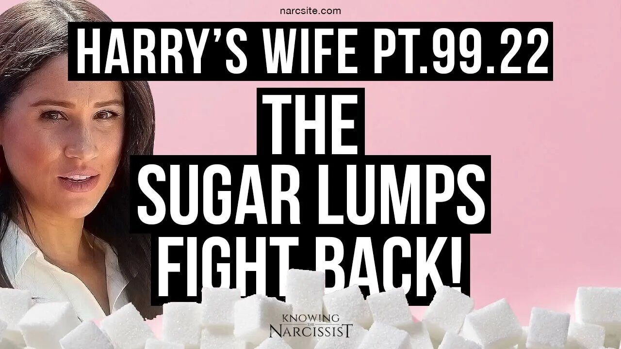 Harry´s Wife Part 99.22 The Sugar Lumps Vow To Fight Back (Meghan Markle)