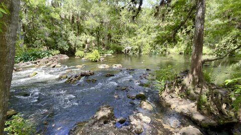 Florida Creek Waterfall