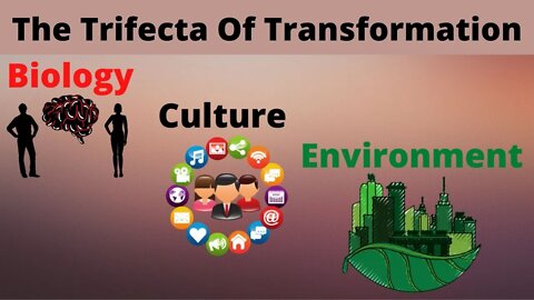 The Trifecta Of Transformation / Biocultiron