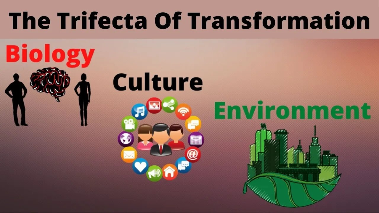 The Trifecta Of Transformation / Biocultiron