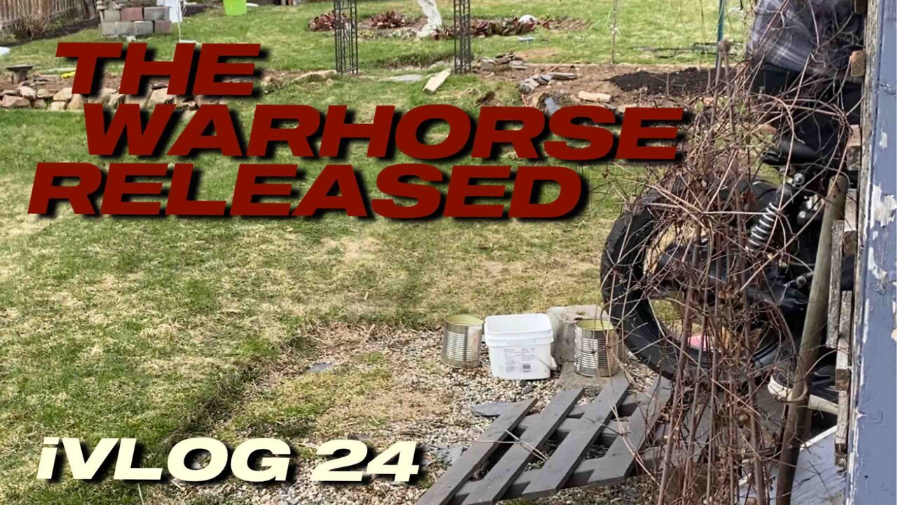 THE WARHORSE RELEASED - VLOG 24