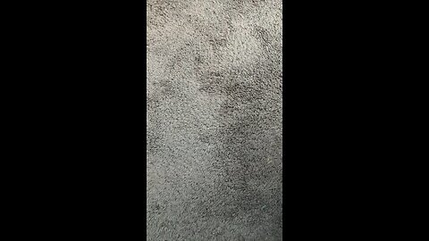 Test 1