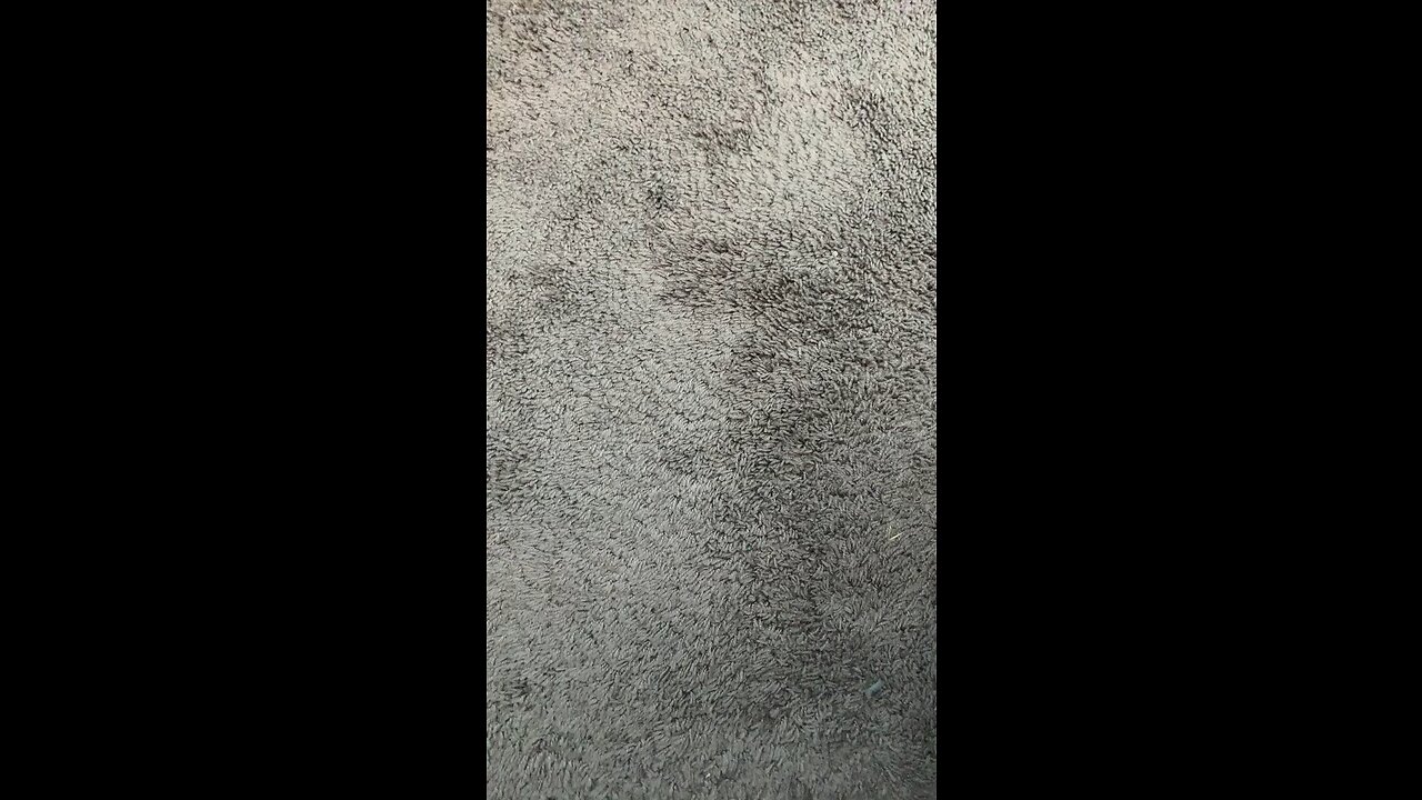 Test 1